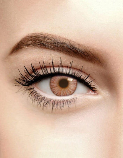 Premium Brown Lens